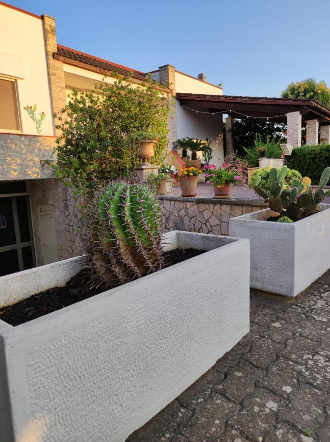 Contrada Macchia 3* Tricase