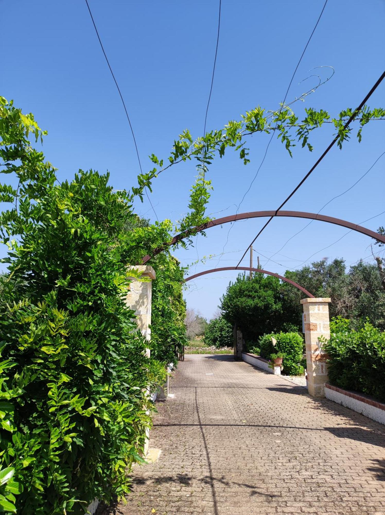Bed & Breakfast Contrada Macchia 3*